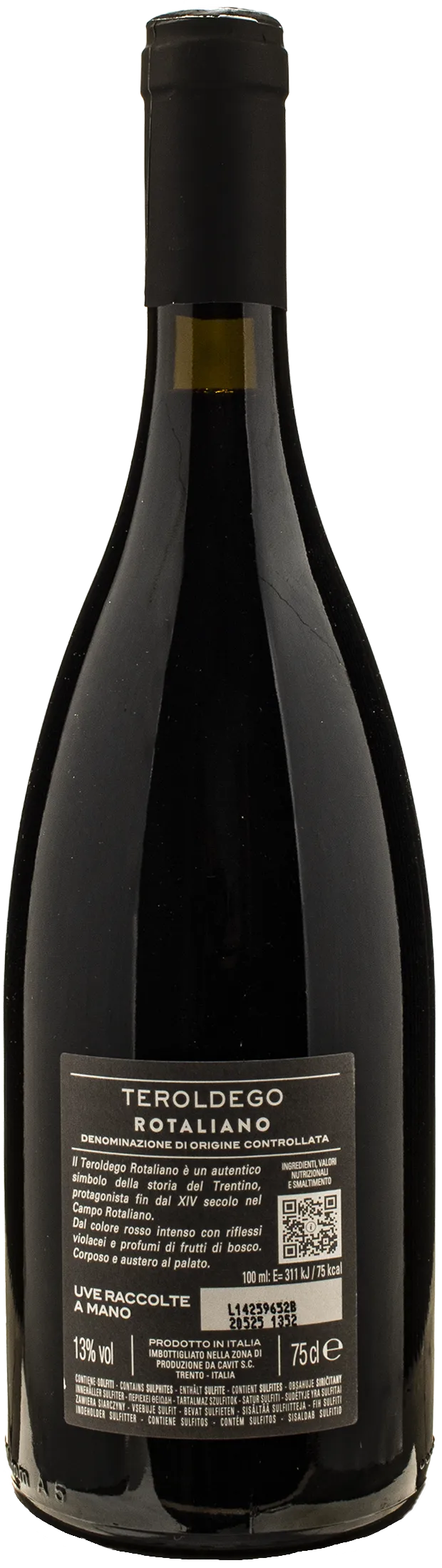 Bottega Vinai Teroldego Rotaliano 2023 - Image 2