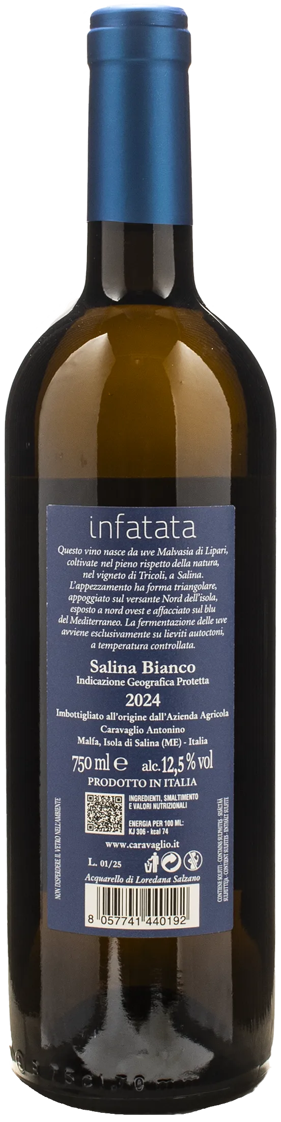 Caravaglio Malvasia Salina Infatata 2024 - Image 2