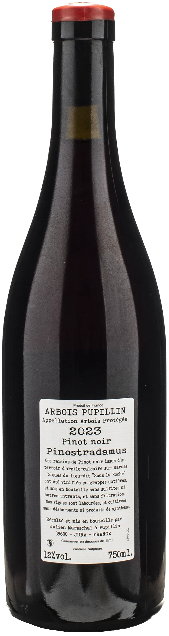 Domaine de la Borde Arbois Pupillin Jura Pinot Noir Pinostradamus 2023 - Image 2