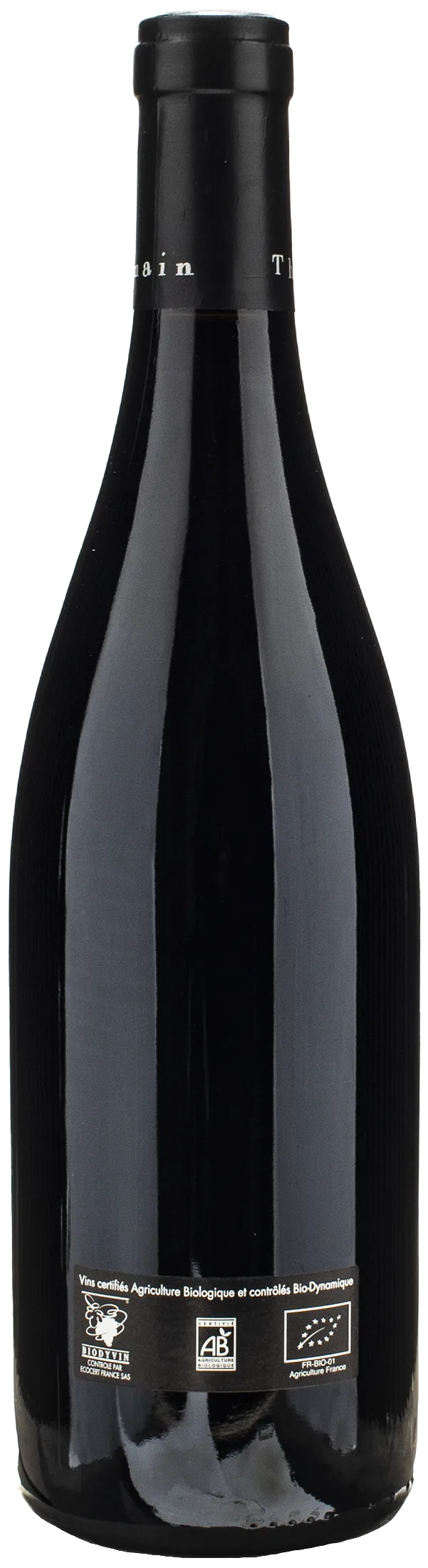 Domaine des Roches Neuves Saumur Champigny Terres Chaudes 2021 - Image 2