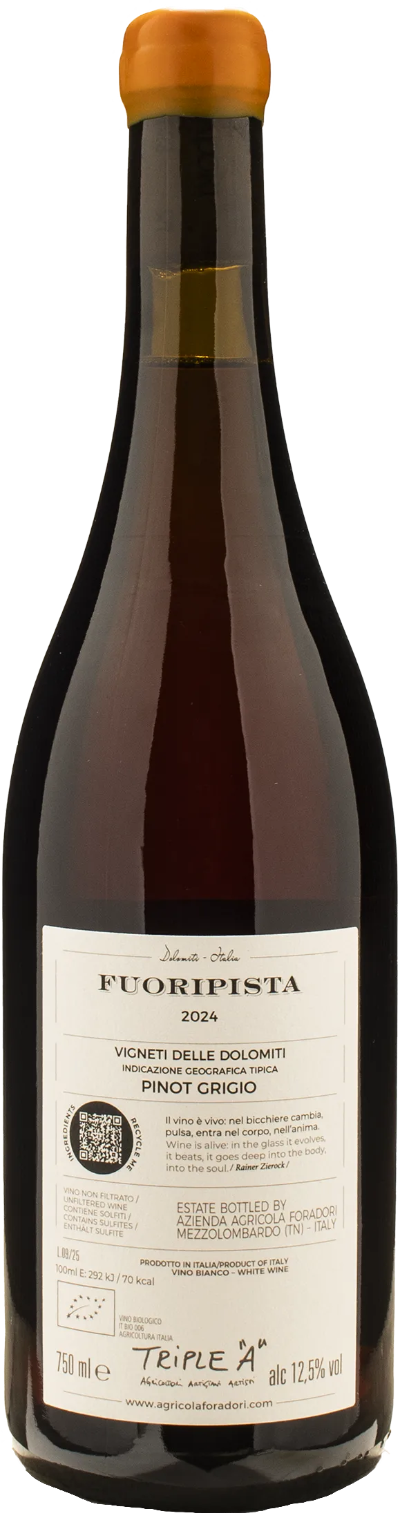 Foradori Fuoripista Pinot Grigio 2024 - Image 2