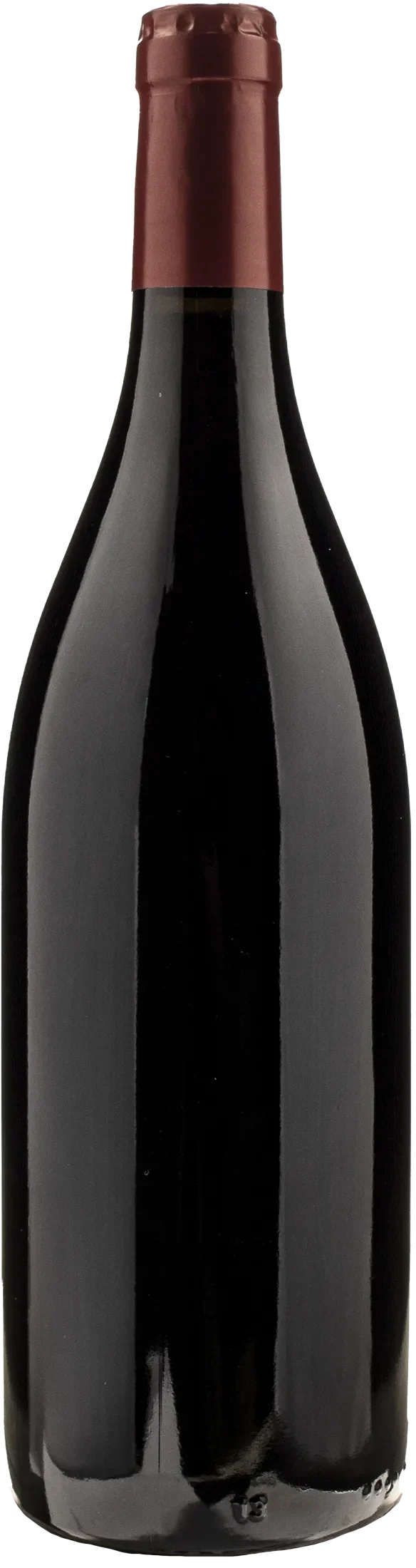Gottardi Blauburgunder Mazzon Pinot Nero 2019 - Image 2