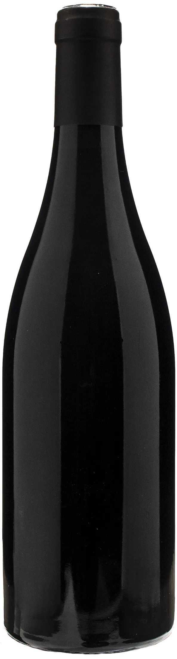 Gottardi Pinot Nero Riserva 2019 - Image 2