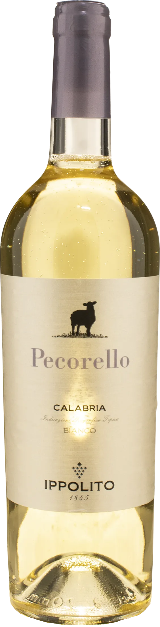 Ippolito 1845 Pecorello 2025