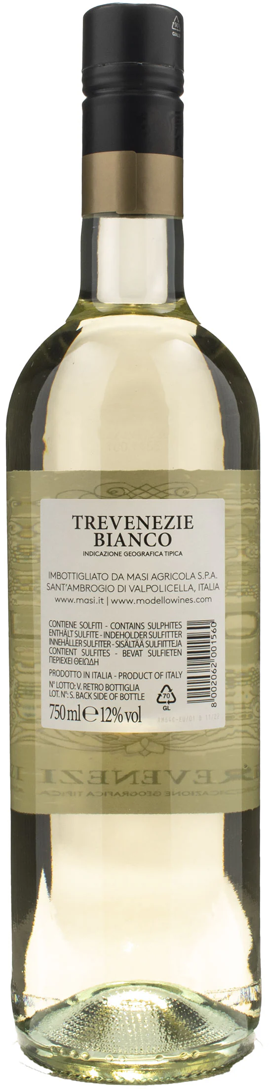 Masi Modello Trevenezie Bianco 2022 - Image 2