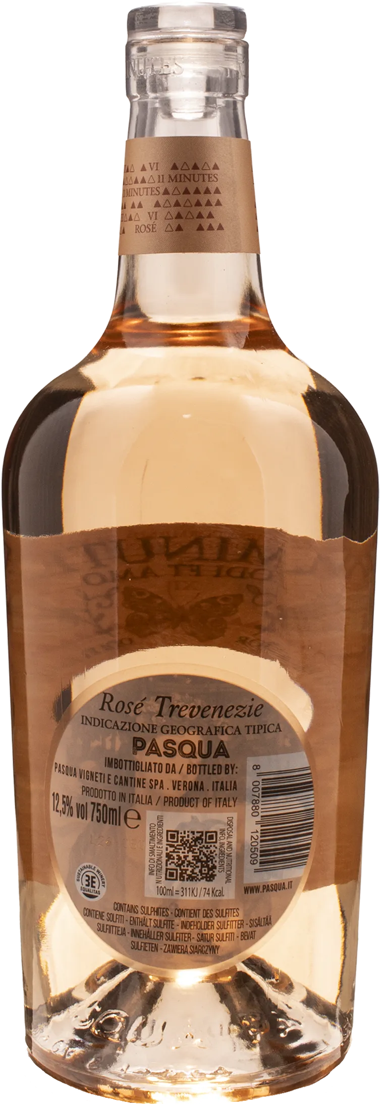 Pasqua Trevenezie Rosè 11 Minutes 2025 - Image 2