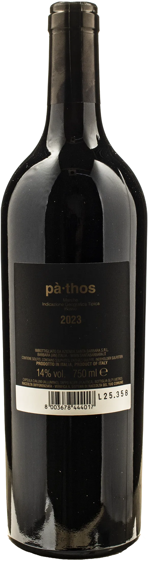 Santa Barbara Stefano Antonucci Pathos 2023 - Image 2