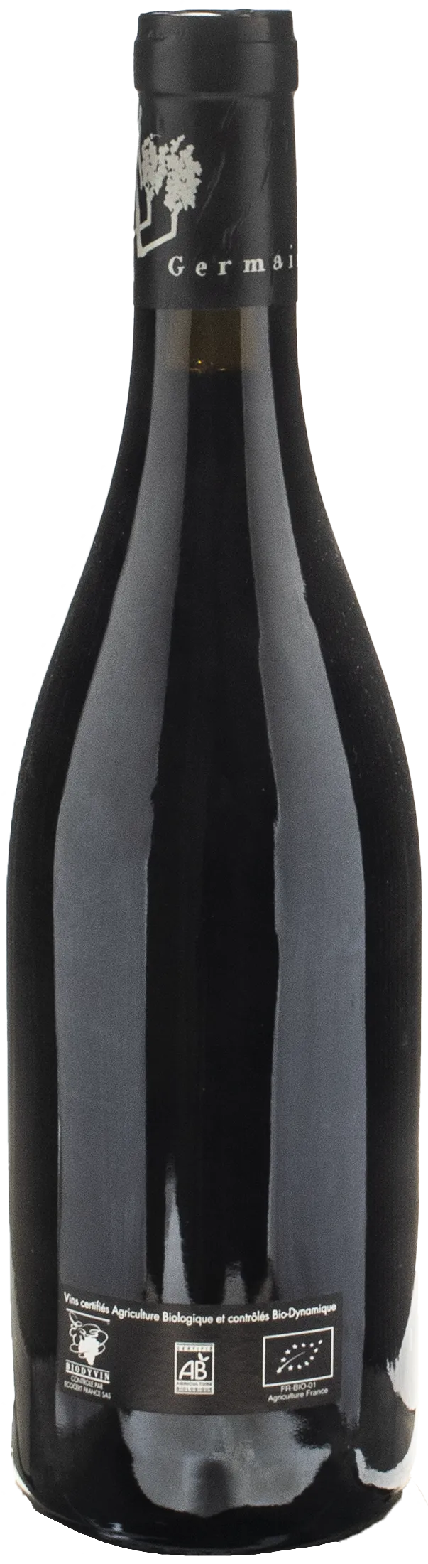 Thierry Germain Domaine des Roches Neuves Saumur Champigny Franc de Pied 2022 - Image 2