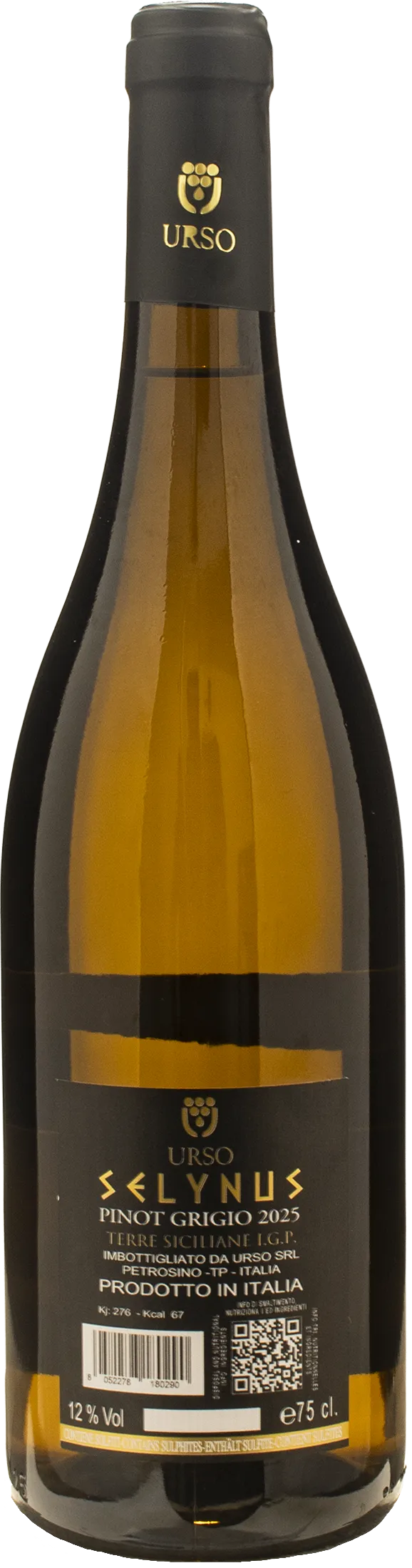 Urso Selynus Pinot Grigio 2025 - Image 2