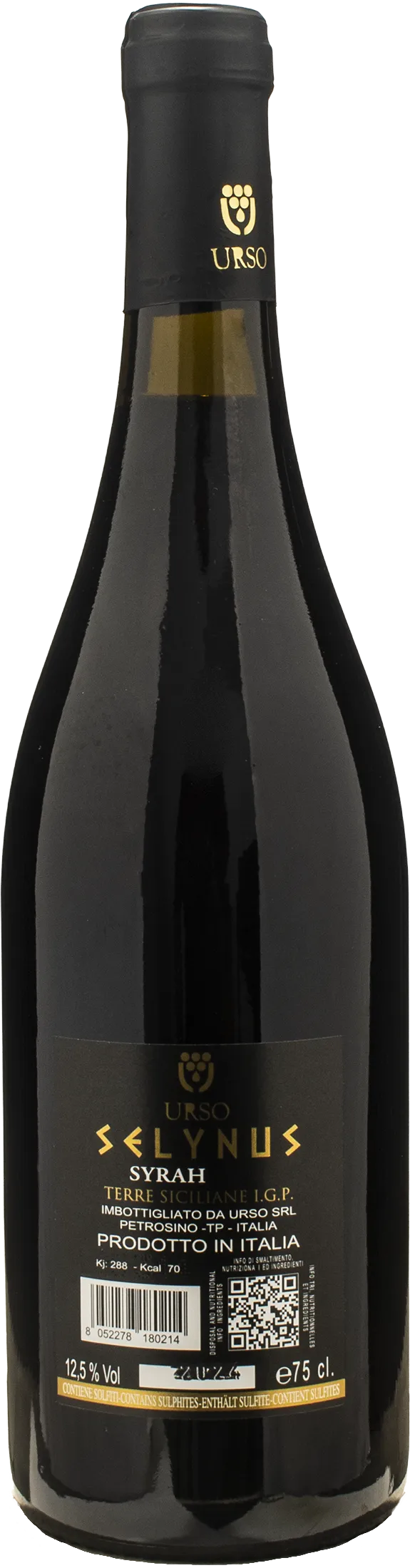 Urso Selynus Syrah 2024 - Image 2