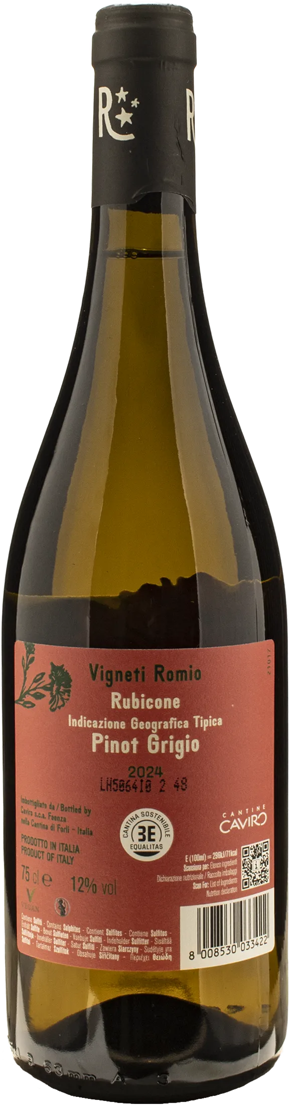Vigneti Romio Rubicone Pinot Grigio 2024 - Image 2