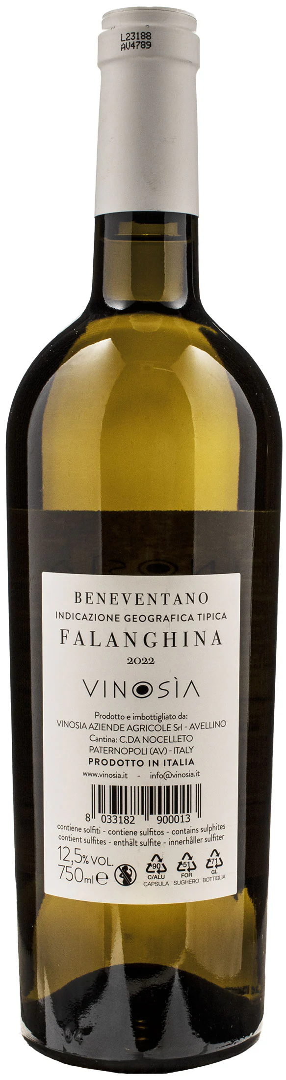 Vinosia Falanghina 2022 - Image 2